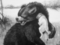 Bear battles Dogs